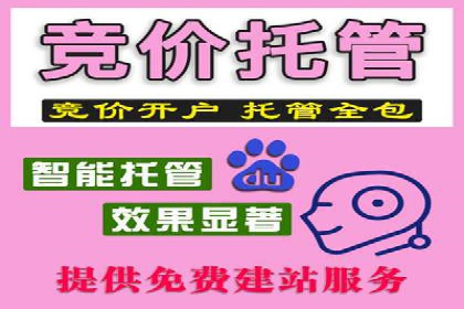网站SEM托管优化案例：助力企业快速抢占市场